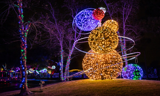 Truxton NY Taxi and car Service holiday lights tour transportation for families and visitors