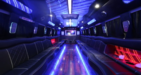 Truxton NY party bus for 3 to 20 passengers, fun for nightlife and celebrations